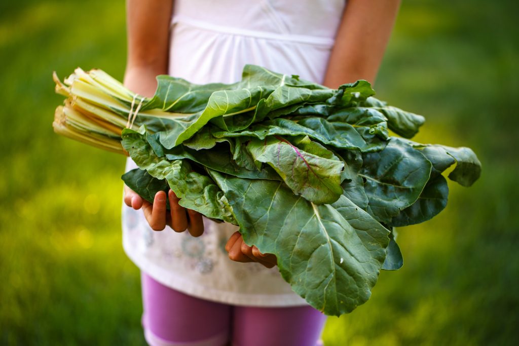 légumes à faible teneur de sucre