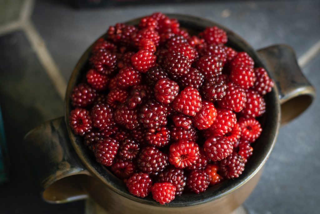 fruits à faible teneur de sucre