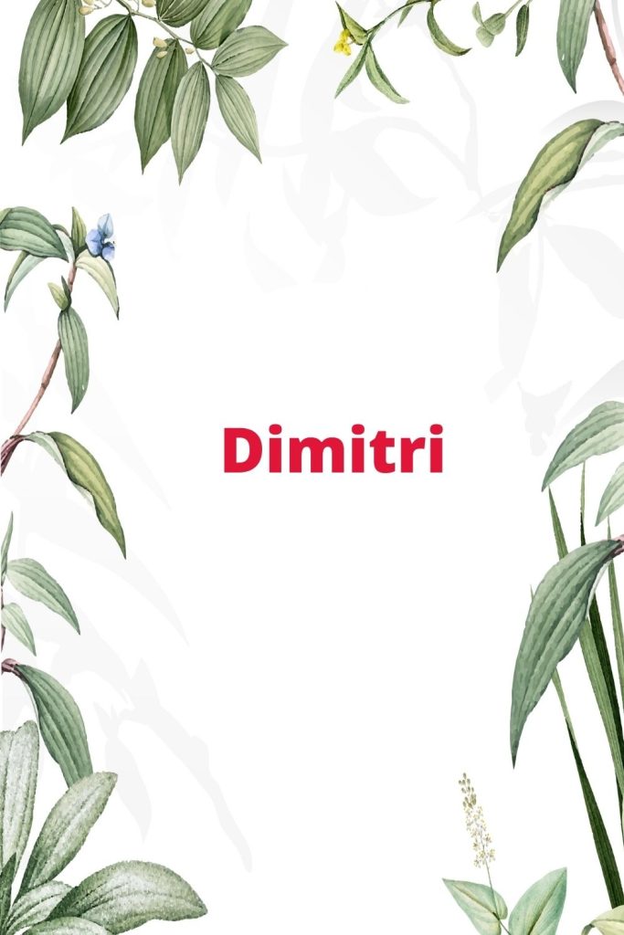 Dimitri prenom garçon slave Dimitri prenom garçon slave